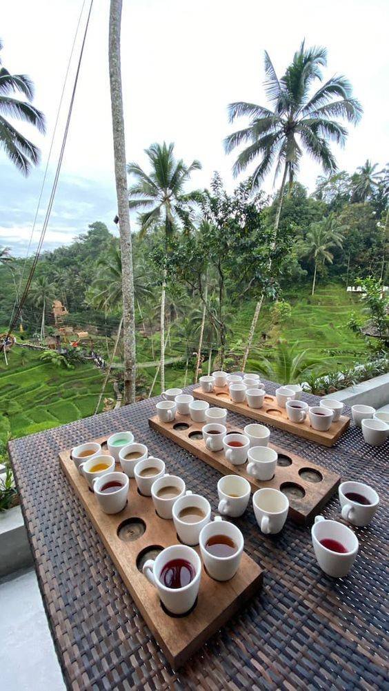 Baobabcafe Hotel