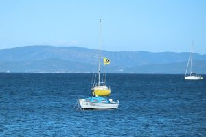 Hébergement en camping à Hyères, confort et nature au rendez-vous